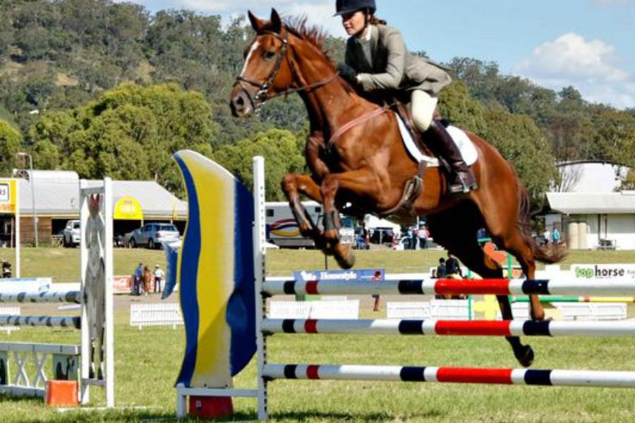 Horse jumping at Toowoomba Royal Show
