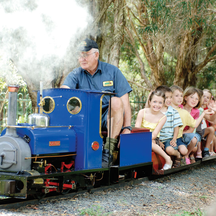 Man driving blue miniature steam train