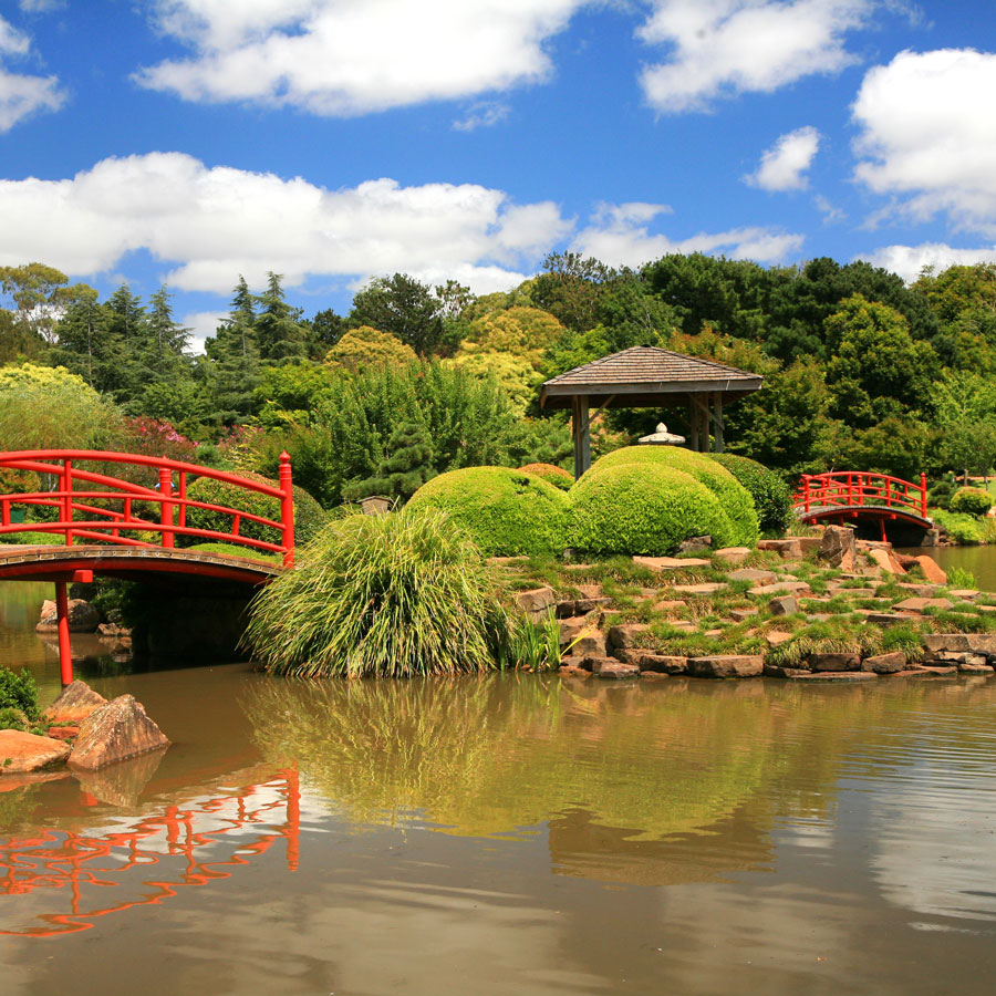 are dogs allowed in the japanese gardens toowoomba