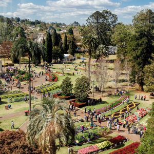 Looking over beautiful Queens Park in Toowoomba