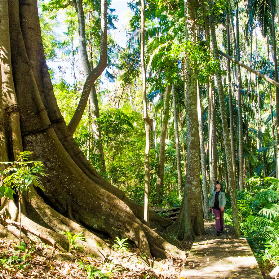 The Palms National Park