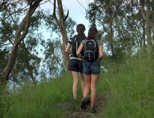 Six spectacular hikes / bushwalks in the Toowoomba Region
