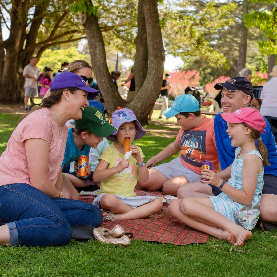 Family enjoying a picnic in the park