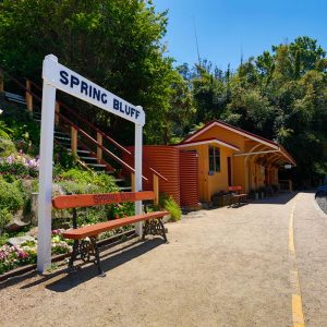 Spring Bluff historical railway station